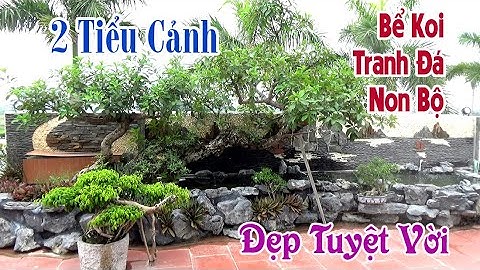 2 Tiểu Cảnh Bể Cá Koi Tranh Đá Non Bộ Không Gian Xanh Tuyệt Đẹp