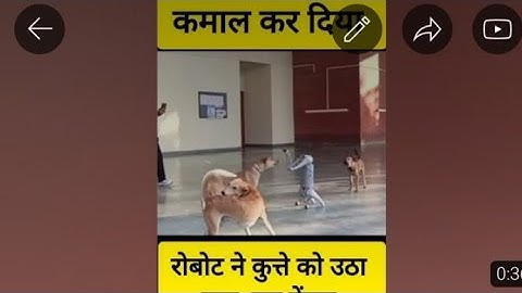 Dog Fighting with Robot | Dog Vs Robot In IIT Kanpur | #puppies #robotics #viralvideo #viralrobot