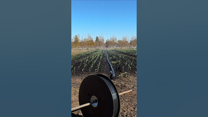 Sumi Soaker in Action 🤩💦 #shorts #irrigation #farming #sumisoaker #smallfarm #farmtools