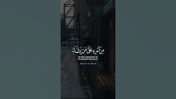 حالات واتس اب القران الكريم | تلاوة هادئة بصوت شيخ ناصر القطامي
