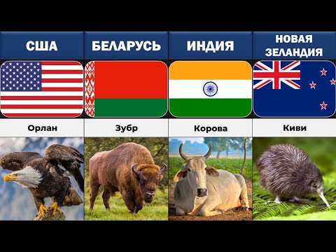 Животные-Символы Разных Стран!
