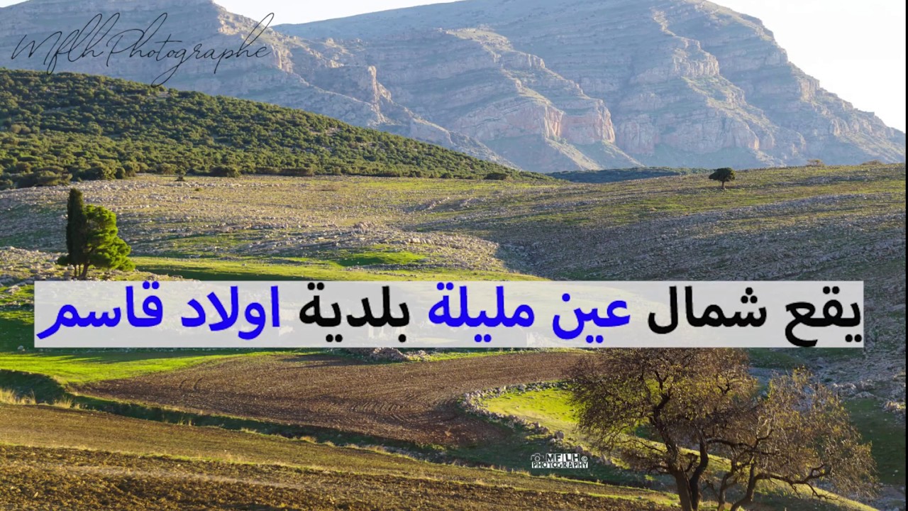 جبل قريون العالي #فيديوغراف Vediograph Montagne de guerioun Ain M'lila