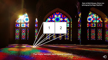 SUNY Optometry scientists propose a theory to explain the formation of visual cortical maps