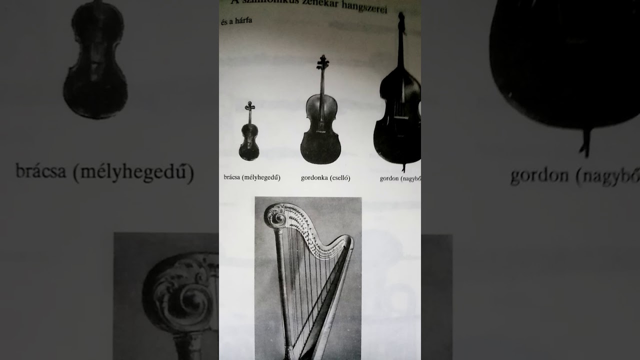 milyen férgeket szednek kezelésükre