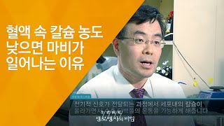 혈액 속 칼슘 농도 낮으면 마비가 일어나는 이유 - (2010.7.1_336회 방송)_뼈의 경고, 칼슘을 흡수하라!