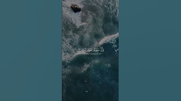 وإن ليس للإنسان إلا ما سعى - ياسر الدوسري | تلاوة خاشعة ومميزة