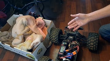 How to change the punch setting on a redcat kaiju