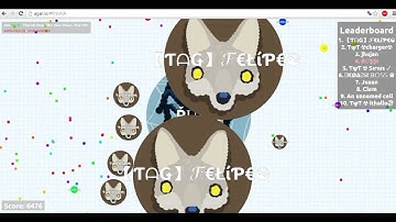 First Video From Channel - Agar.io 16K Mass // HACK 30 BOTS - Agarbot.ovh