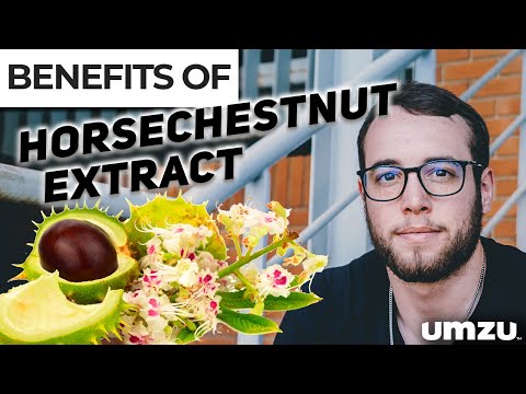 Benefits of Using Horse Chestnut Extract