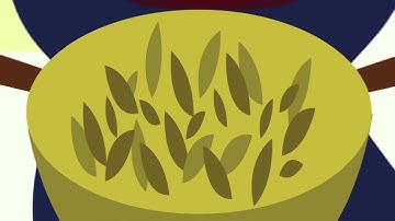 Integrating Agriculture in National Adaptation Plans