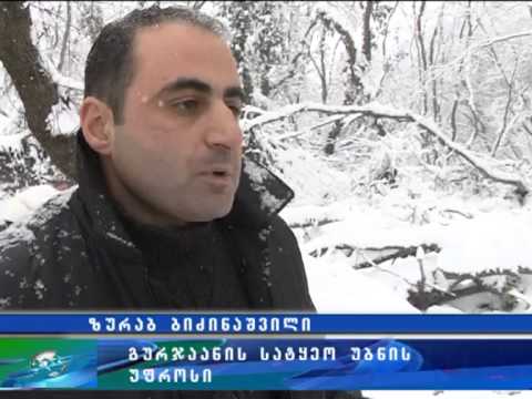 მოგვარდება თუ არა ბაკურციხელების პრობლემა   რას დაპირდა ჯონი ოსიაშვილი სოფლის მოსახლეობას