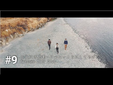 【歌ってみた】今夜だけ間違いじゃないことにしてあげる/Awesome City Club【自作PV】