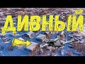 Дивный 2022 Нижневартовск