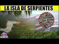 ¡Las Serpientes No Fluyen Aquí, La Isla de las Serpientes!   El Lugar Más Peligroso del Mundo