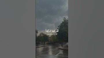 تلاوة بصوت القارئ عماد آل حسن
