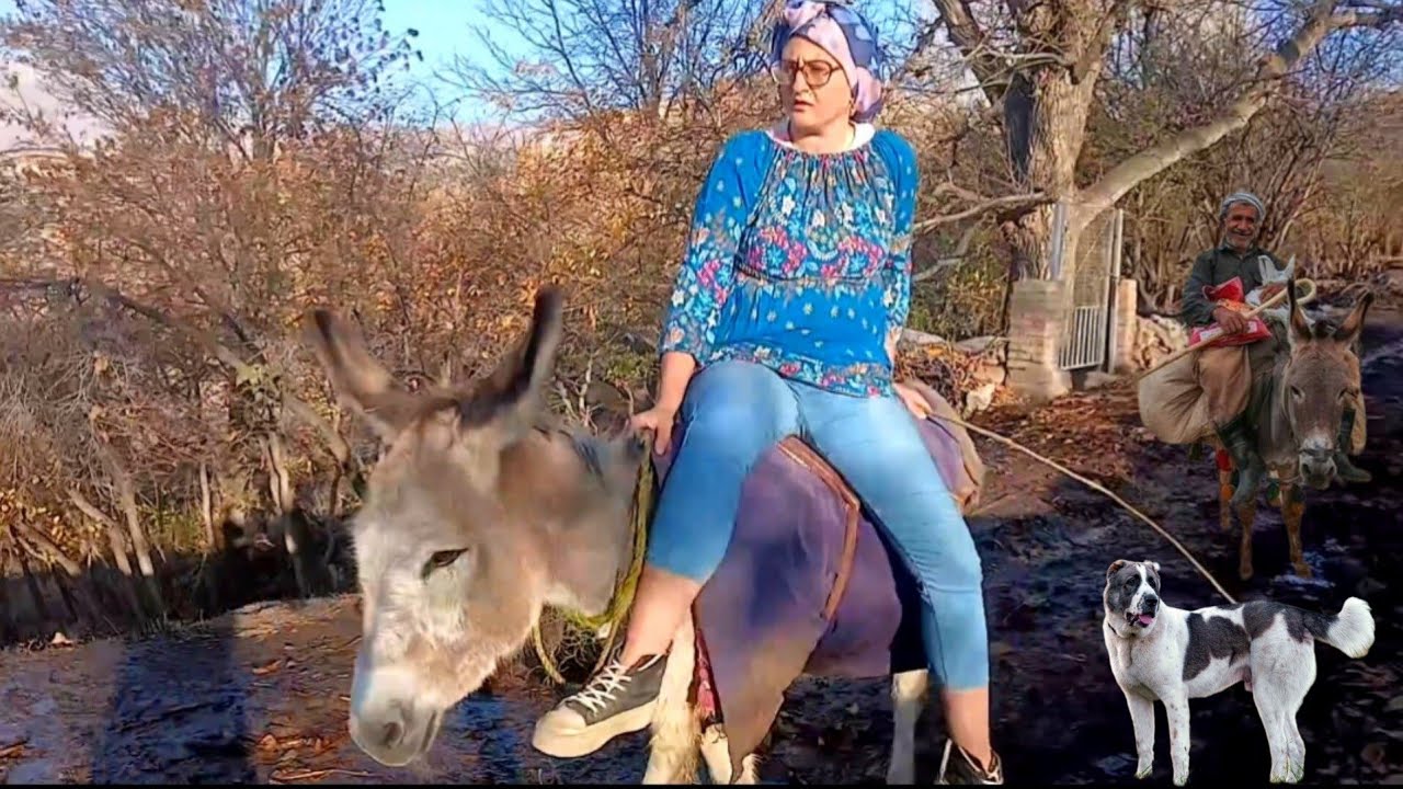 A Peaceful Morning in the Village | Simple Life That Warms Your Soul