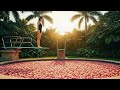 A Tranquil Dive ✨ AI-Generated Pools for Deep Relaxation #7