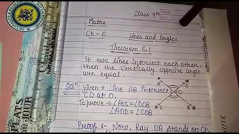 Class 9 chapter 6 Theorem 6.1#vertical opposite angle