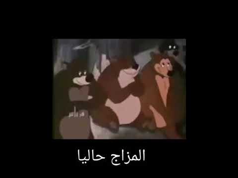 رقص دببه روعه