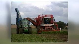 From Sun To Sugar, Nordic Sugar