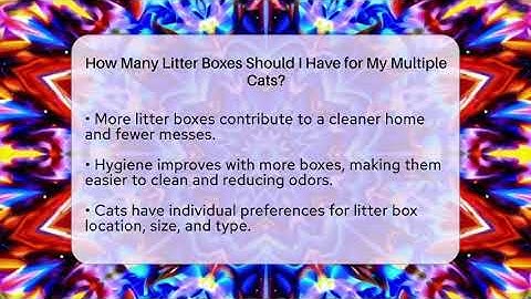 How Many Litter Boxes Should I Have for My Multiple Cats? | Happy Cat Handbook