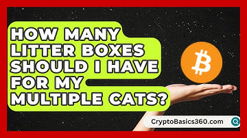 How Many Litter Boxes Should I Have for My Multiple Cats? | Happy Cat Handbook