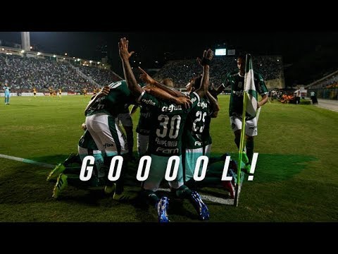 GOLS - PALMEIRAS 5 X 0 NOVORIZONTINO - PAULISTA 2019