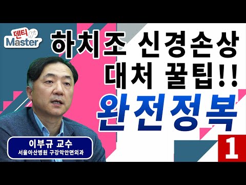 하치조 신경손상 대처 꿀팁!! 완전정복 1