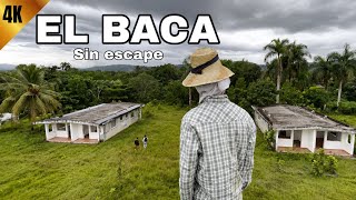 EL BACA - Sin escape (PELICULA COMPLETA) Suspenso 