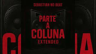 Parte a coluna | Visualizer | (Sebastian no beat) Remix