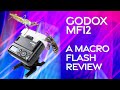 Godox MF12 Macro Flash Review - The best flash for macro work!