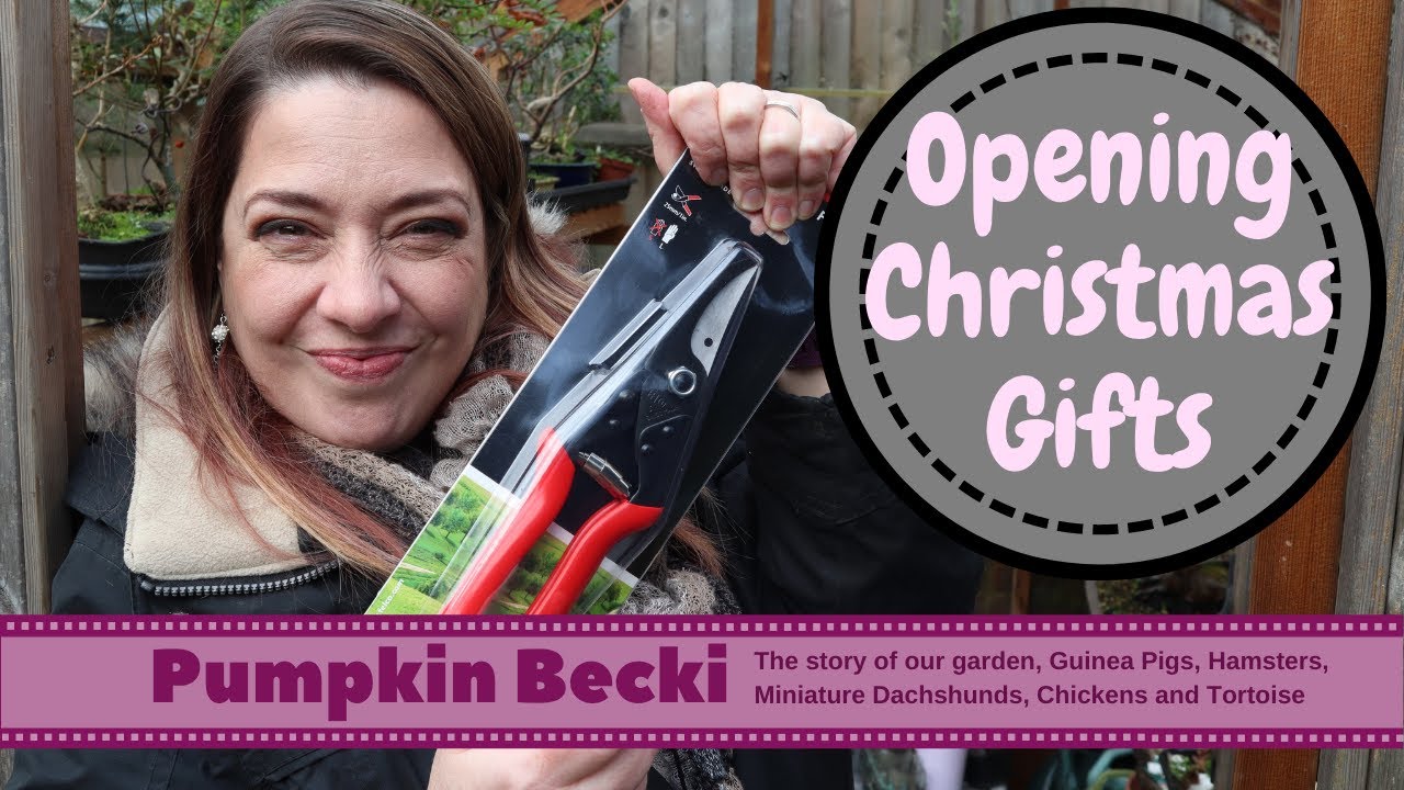 Christmas gifts for gardeners and winter garden tour YouTube