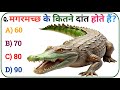 मगरमच्छ के कितने दांत होते हैं? 🐊 | Crocodile Teeth Facts 🤯 | Amazing GK | SGR Knowledge Point