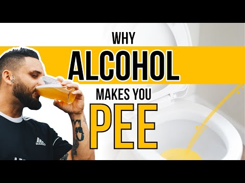 Why Does Alcohol Make You Pee?