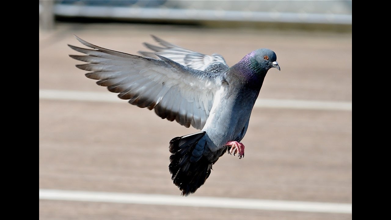 samsung galaxy j7 pro slow motion camera review YouTube