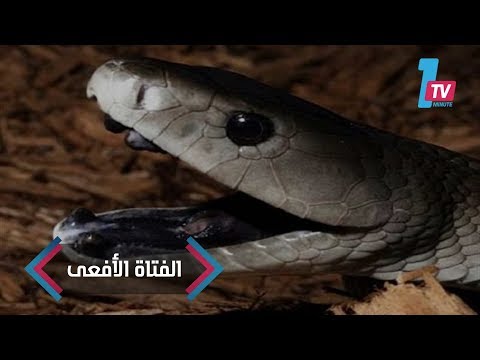 فيديو: فتاة الأفعى تعيش في الفلبين