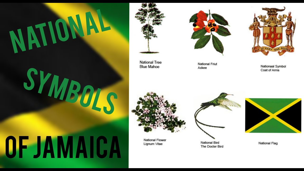 Our Heritage National Symbols Of Jamaica Youtube