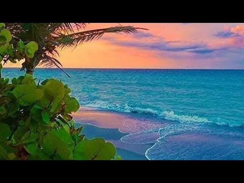 نحن مدينون بالحب لكل من جعلنا نبصر شيئ ا جميل ا في أنفسنا حين أوشكنا على الإنطفاء