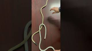 Celebrity Sheet Bend knot. NCCCO Rigger 1 practical Profile