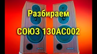 Разбираем акустику  СОЮЗ 130 АС 002