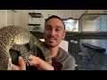 Nile Monitor Complete Guide