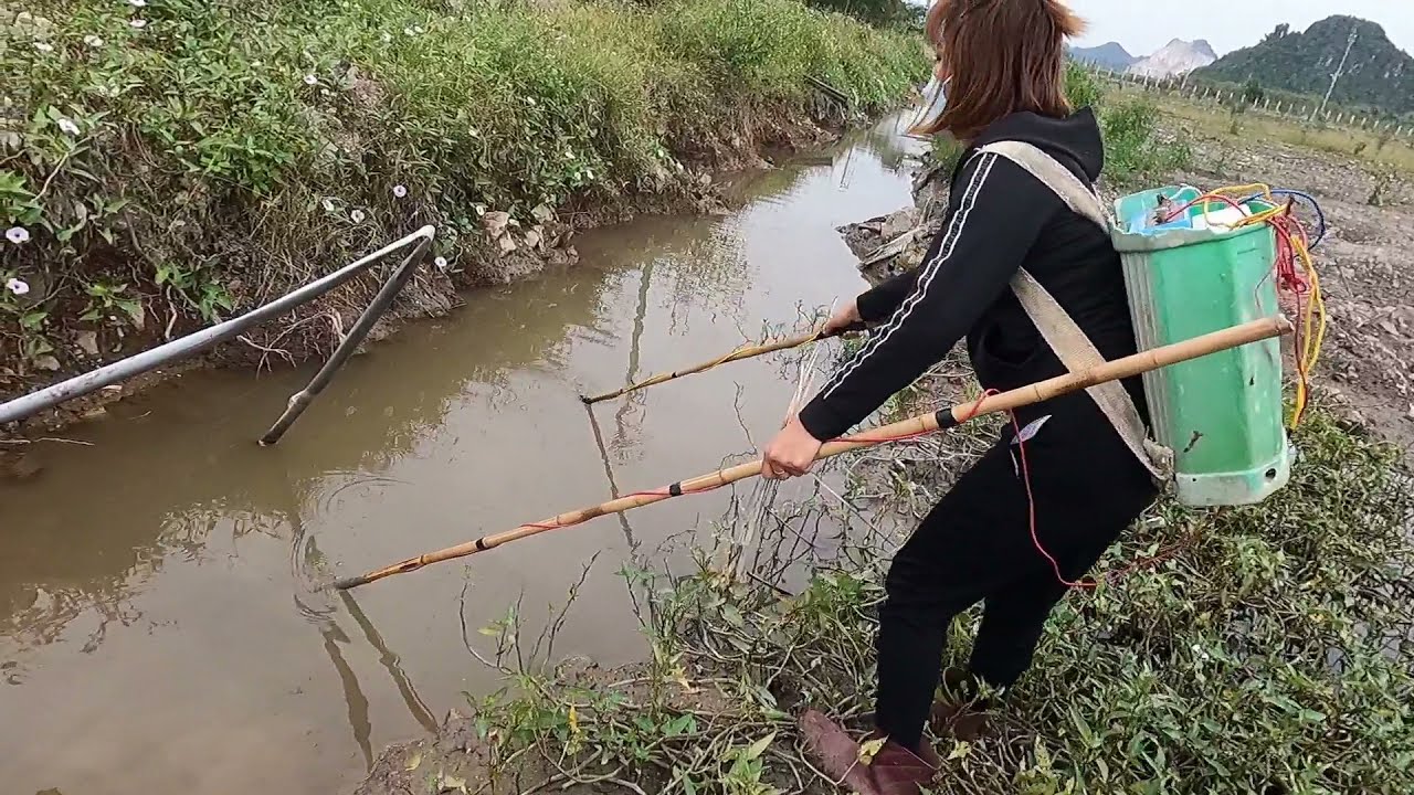 The Girl Who Catches Extremely Good Carp | Hunting Gaint Fish