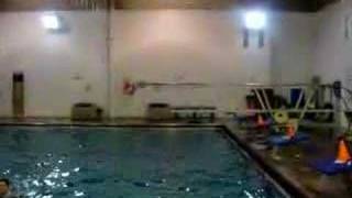 103c  1m springboard