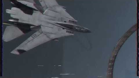 【Ｄｅｆｅｎｄｅｒ　ｏｆ　ｔｈｅ　Ｆｌｅｅｔ】| DCS F14 Movie