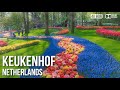 Keukenhof, Garden of Europe - 🇳🇱 Netherlands - 4K Virtual Tour