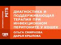 Диагностика и поддерживающая терапия при инфекционном перитоните у кошек FIP