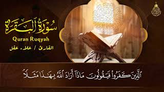رقية للبيت سورة البقرة، يس، الواقعة، الرحمن، الملك - شفاء وبركة وحفظ من الشيطان Quran Ruqyah