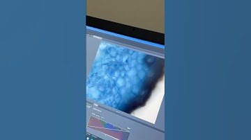 Exploring Plant Root through High-Resolution Microscopy #Microscopy