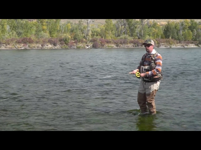 How to Mend, Set the Hook, and Strip Line - Fly Fisherman