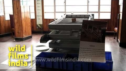Tea leaf sorting machine - Tea Museum